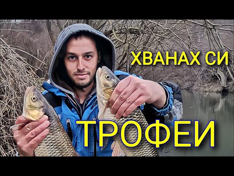 Видео: Трофейни кефали на болонезе