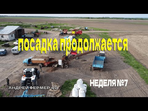 Видео: Очередные проблемы, как сажать?