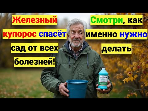 Видео: Железный купорос спасёт сад от всех болезней. Простое средство — мощная защита сада!