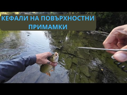 Видео: ПОВЪРХНОСТНИ ПРИМАМКИ И КЕФАЛИ