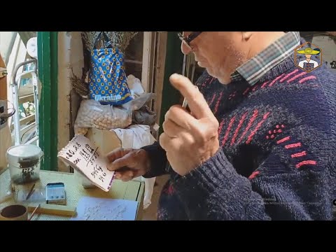 Видео: Діагностика кліща варроа. Дядя Міша і #бджоли