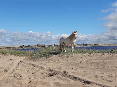 Видео: На Кольский №7 село Кузомень, село Варзуга