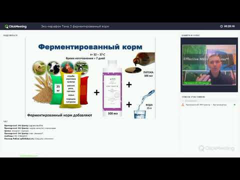 Видео: Ферментированный корм свиньям самостоятельно (Экомарафон Тема 3)