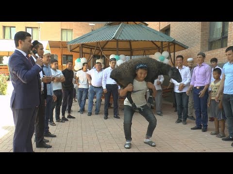 Видео: Тойда 40 кг қой көтеруден жарыс / Абдуғаппарұлы Белальдің үйлену тойы 💚 АЛИ студиясы