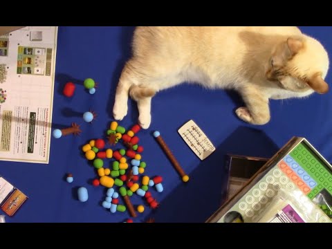 Видео: Распаковываем настольную игру Земля с компонентами MeepleFoxes и органайзерами MeepleHouse