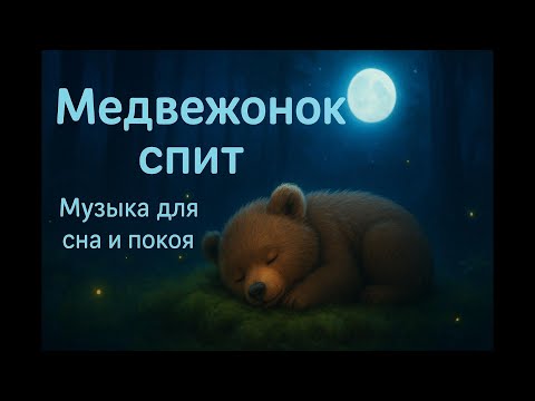 Видео: Медвежонок спит в тихом лесу расслабляющая музыка для сна и покоя