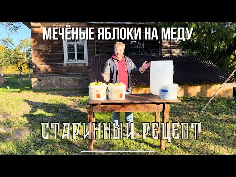 Видео: Моченая антоновка на меду в бочке. Вкуснее не пробовал #хочувдеревню #яблоки #хутор