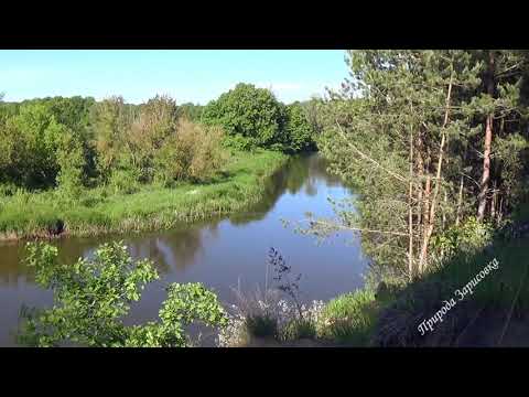 Видео: Разбираемся в когнитивных ошибках зрителей