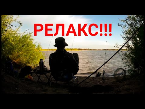 Видео: Рыбалка. Токоревка. Донки.