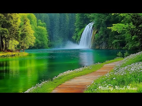 Видео: Спокойная расслабляющая музыка 🌿 Целебные звуки природы, нежное фортепиано для снятия стресса