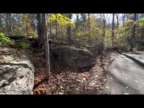 Видео: 🍁  Золотая осень.🍂В лесном парке.