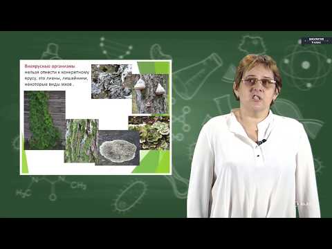 Видео: Биология - 9 класс - Биоценоз и биогеоценоз