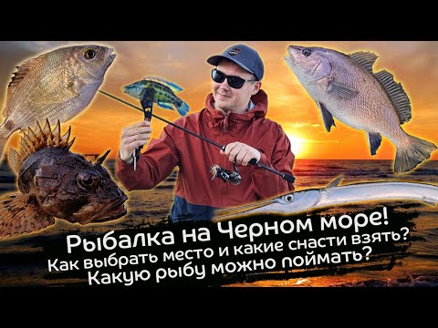 Видео: Как поймать рыбу на Черном море / Какой комплект и приманки взять с собой / Гайд по рокфишингу