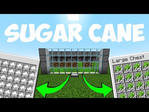 Видео: SUGAR CANE ФЕРМА | 30 ДНИ MINECRAFT | ДЕН 8
