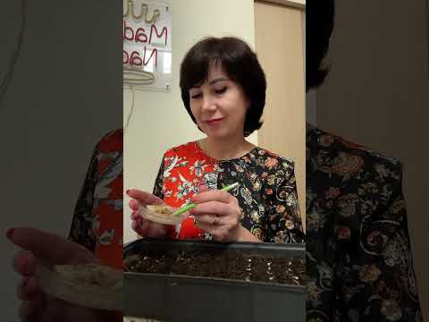 Видео: Какие разные мужчины бывают