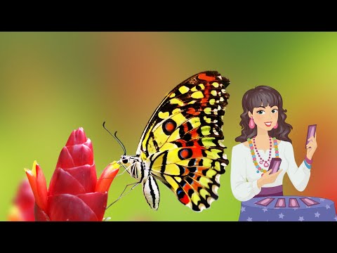 Видео: 💋Какво има в теб след последният ни разговор /последната ни среща? 💘