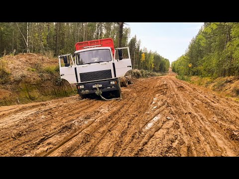 Видео: Прилип на подъеме. Порвали два маза. #лесовоз #бездорожье