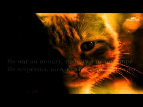 Видео: Уродливый кот - стих Игорь Мазунин   читает -Леонид Юдин