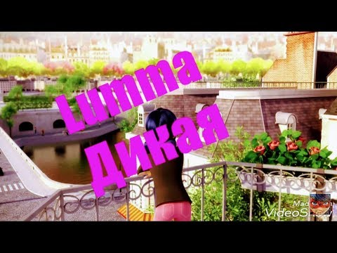 Видео: Клип Леди баг и Кот Нуар // Lumma - Дикая