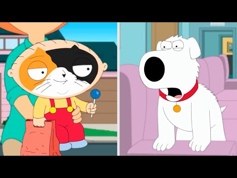 Видео: Гриффины - КотоПёс, Самые лучшие и смешные моменты!