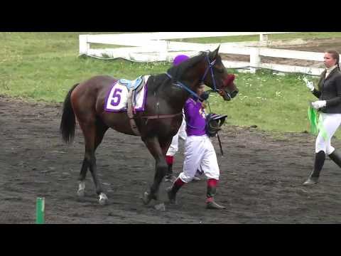 Видео: Кубок мэра г.Иркутска. Скачка 1600м.