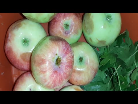 Видео: Компот из смородины, урюка и яблок