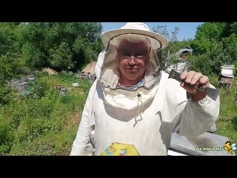 Видео: Формування однорамкових відводків