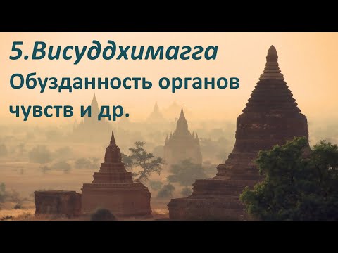 Видео: 005. I.53-97 Обузданность органов чувств и др.
