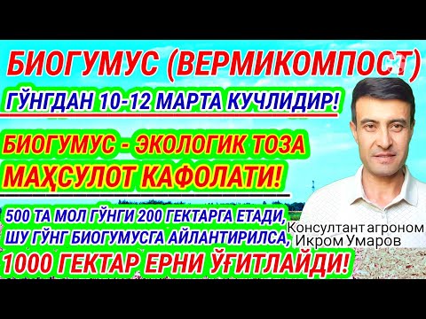 Видео: BIOGUMUS ASLIDA QANDAY O‘G‘IT? 100-son. ВЕРМИКОМПОСТ