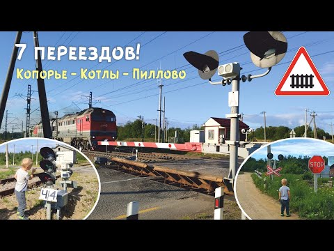 Видео: 2020 семь ж/д переездов (Копорье - Пиллово)