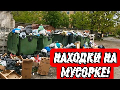 Видео: Что можно найти на мусорках Санкт-Петербурга! Находки на мусорке!
