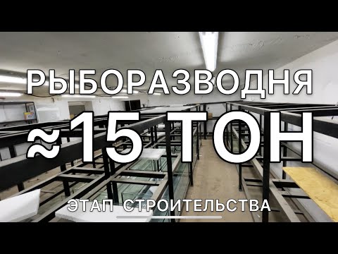 Видео: АКВАРИУМНАЯ РАЗВОДНЯ. Новый проект. Возвращаюсь в разведение аквариумной рыбки