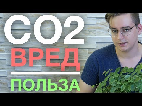 Видео: Осторожно, CO2 вокруг нас! / Повседневная опасность (реальные замеры)