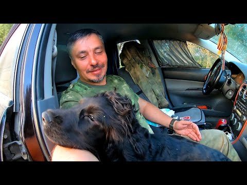 Видео: В походе с Бароном.Часть 2