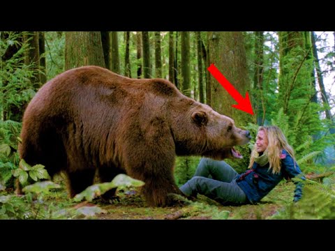 Видео: Огромная медведица, ревя и страдая, вышла к людям. Она молила о помощи...