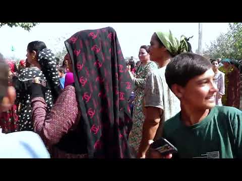 Видео: 5 августа 2025 г.