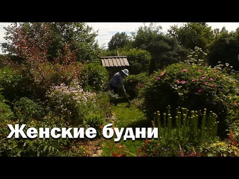 Видео: Женские будни/результаты весенних трудов//навожу красоту/собираю травы