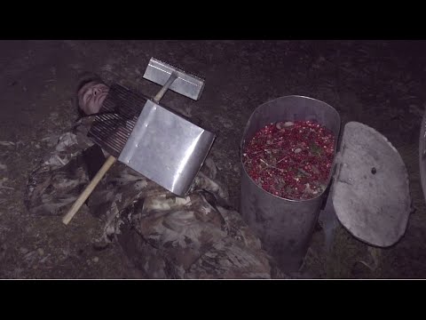 Видео: ТАЁЖНЫЙ ПРОМЫСЕЛ-СБОР БРУСНИКИ / КОНКУРЕНТЫ НАСТУПАЮТ / ГРЕБУ ДО ТЕМНОТЫ