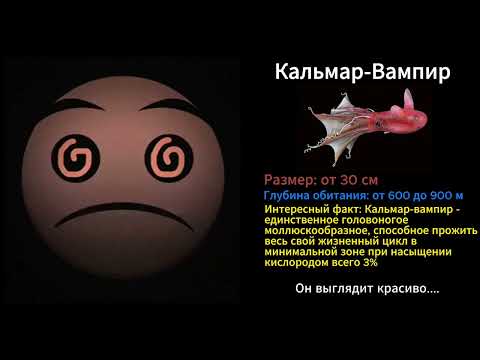 Видео: Монстры марианской впадины (ГД лица)