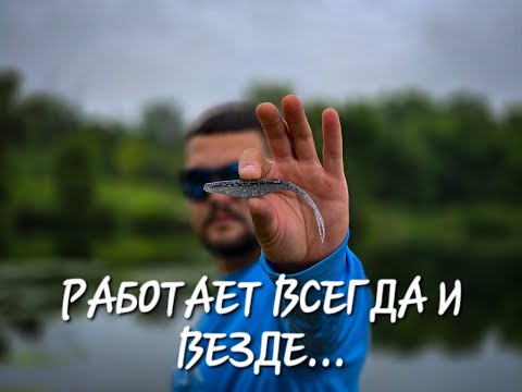 Видео: ПРИМАНКА КОТОРАЯ РАБОТАЕТ В ЛЮБЫХ УСЛИВИЯХ. Ловля хищника на слаги. Рыбалка в США.
