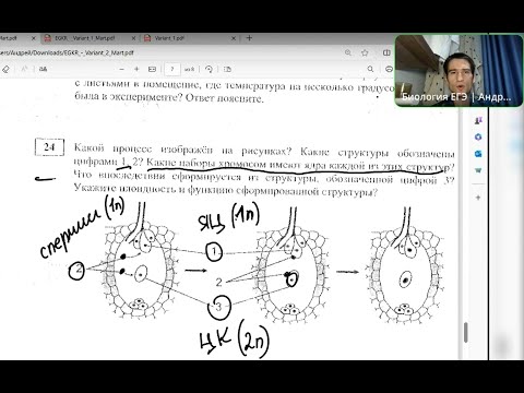 Видео: Разбор московского пробника от ФИПИ. Апрель. ЕГЭ по биологии