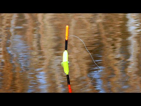 Видео: Рыбалка на ПОПЛАВОК поздней осенью! Поклевки крупным планом