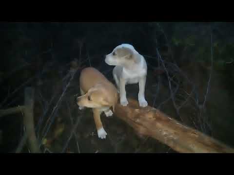 Видео: 40 Часть про базу 