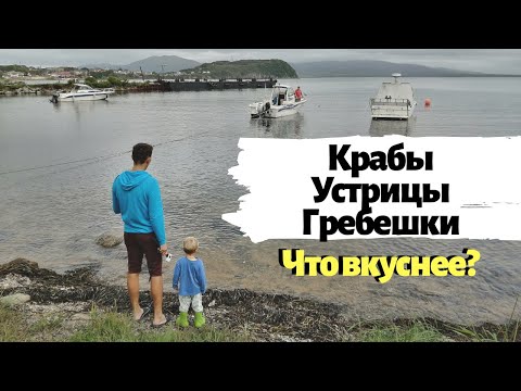 Видео: Приморская Еда 🦀 Пробуем Приморскую Кухню Всей Семьей и с Друзьями. Приморские Пирожки с Кокосом 😂