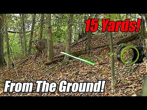 Видео: Охота на оленей в упор! | Охота на оленей из лука в Пенсильвании, 2025!
