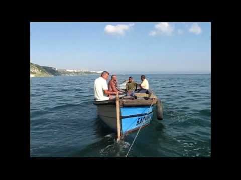 Видео: За рибка на талян - Каварна