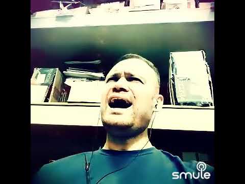 Видео: Вот пуля просвистела... (кавер)