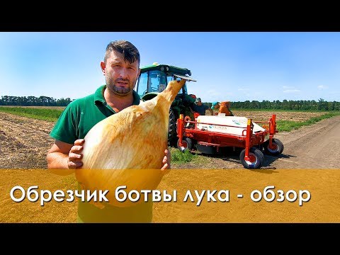 Видео: Уборка Лука. Ботвоудалитель Для Лука SIMON (100% Результат)!