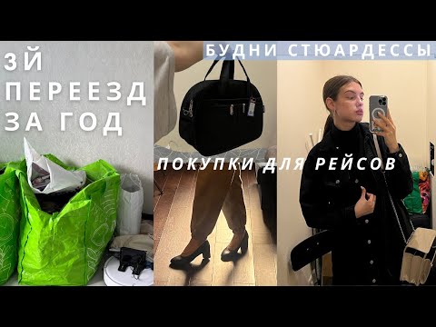 Видео: Переезд в Шереметьево | Неадекватные хозяева, готовлюсь к первым рейсам ✈️