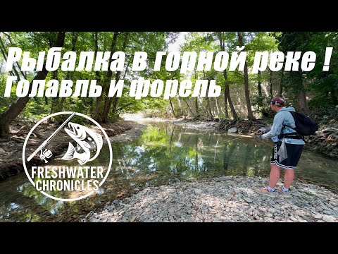 Видео: Рыбалка в пересохшей ГОРНОЙ РЕКЕ! Голавль и Форель на спиннинг! Забрался в дебри горных лесов!
